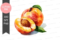 Watercolor illustration of a peach Product Image 1