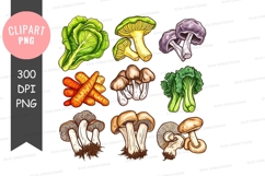 Assorted vegetables and mushrooms clipart png Product Image 1