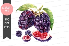 Blackberries and pomegranate clipart png Product Image 1