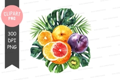 Tropical fruit clipart png Product Image 1