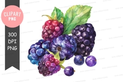 Assorted berries clipart png Product Image 1