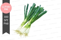 Bunch of green onions clipart png Product Image 1