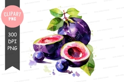 Watercolor illustration of plums Product Image 1
