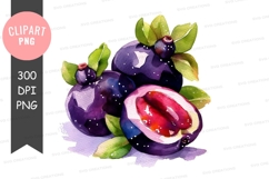 Watercolor illustration of passion fruits Product Image 1