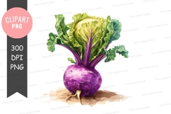 Purple top turnip clipart png Product Image 1