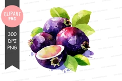 Watercolor illustration of passion fruits Product Image 1