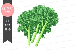 Fresh kale clipart png Product Image 1