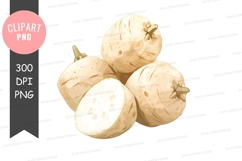 White turnips clipart png Product Image 1