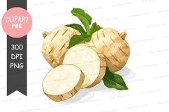 Fresh jicama clipart png Product Image 1