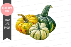 Assorted squashes clipart png Product Image 1