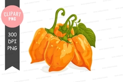 Orange bell peppers clipart png Product Image 1