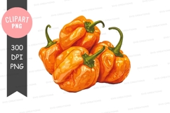 Clipart png of a bunch of orange peppers Product Image 1