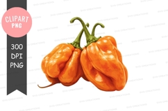 Three bright orange peppers clipart png Product Image 1