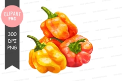 Brightly colored bell peppers clipart png Product Image 1