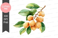 Branch of oranges clipart png Product Image 1