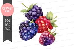 Assorted berries clipart png Product Image 1