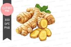 Fresh ginger clipart png Product Image 1