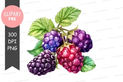 Fresh berries clipart png Product Image 1