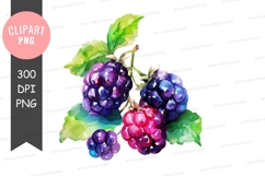 Watercolor illustration of berries Product Image 1
