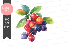 Colorful berries on a branch clipart png Product Image 1