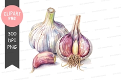 Garlic clipart png Product Image 1
