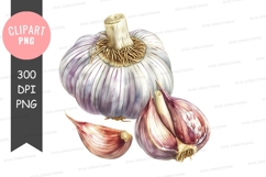 Garlic clipart png Product Image 1