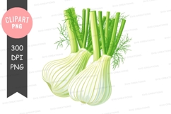 Fennel bulbs clipart png Product Image 1