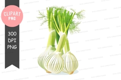 Bunch of fresh fennel clipart png Product Image 1