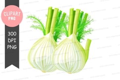 Fennel bulbs clipart png Product Image 1