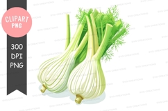 Fennel bulbs clipart png Product Image 1