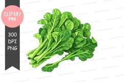 Fresh spinach clipart png Product Image 1