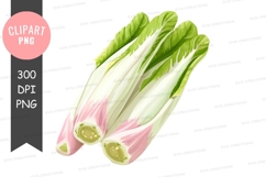 Pink and green vegetable clipart png Product Image 1