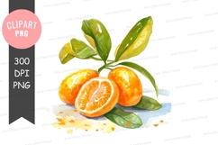 Vibrant oranges clipart png Product Image 1