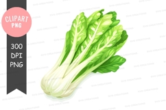 Fresh bok choy clipart png Product Image 1