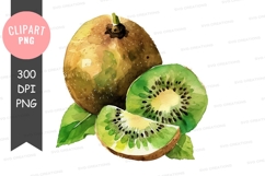 Kiwi fruit clipart png Product Image 1