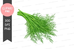 Fresh dill clipart png Product Image 1
