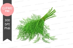 Fresh dill clipart png Product Image 1