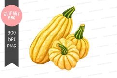 Yellow squash clipart png Product Image 1