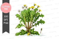Dandelion plant clipart png Product Image 1