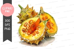 Bitter melon clipart png Product Image 1