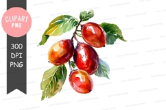 Watercolor illustration of ripe fruits Product Image 1
