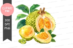Durian fruit clipart png Product Image 1