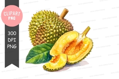 Durian clipart png Product Image 1