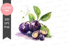 Watercolor illustration of purple fruits Product Image 1