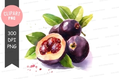 Watercolor illustration of pomegranates Product Image 1