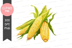 Three ears of corn clipart png Product Image 1