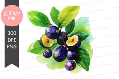 Clipart png of plum fruits Product Image 1