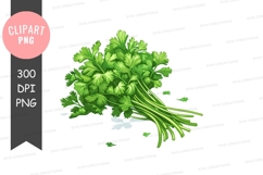 Fresh parsley clipart png Product Image 1