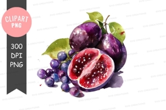 Watercolor illustration of plums and grapes Product Image 1