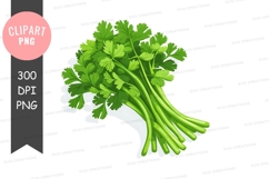 Fresh parsley clipart png Product Image 1